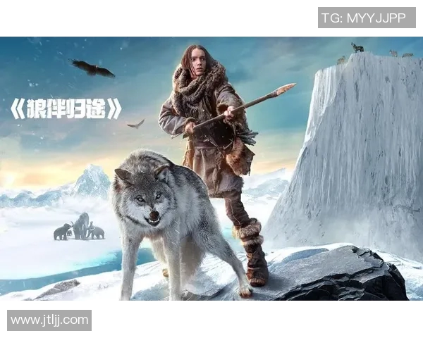 狗子化身足球明星的精彩瞬间集锦让你大开眼界的萌宠运动会